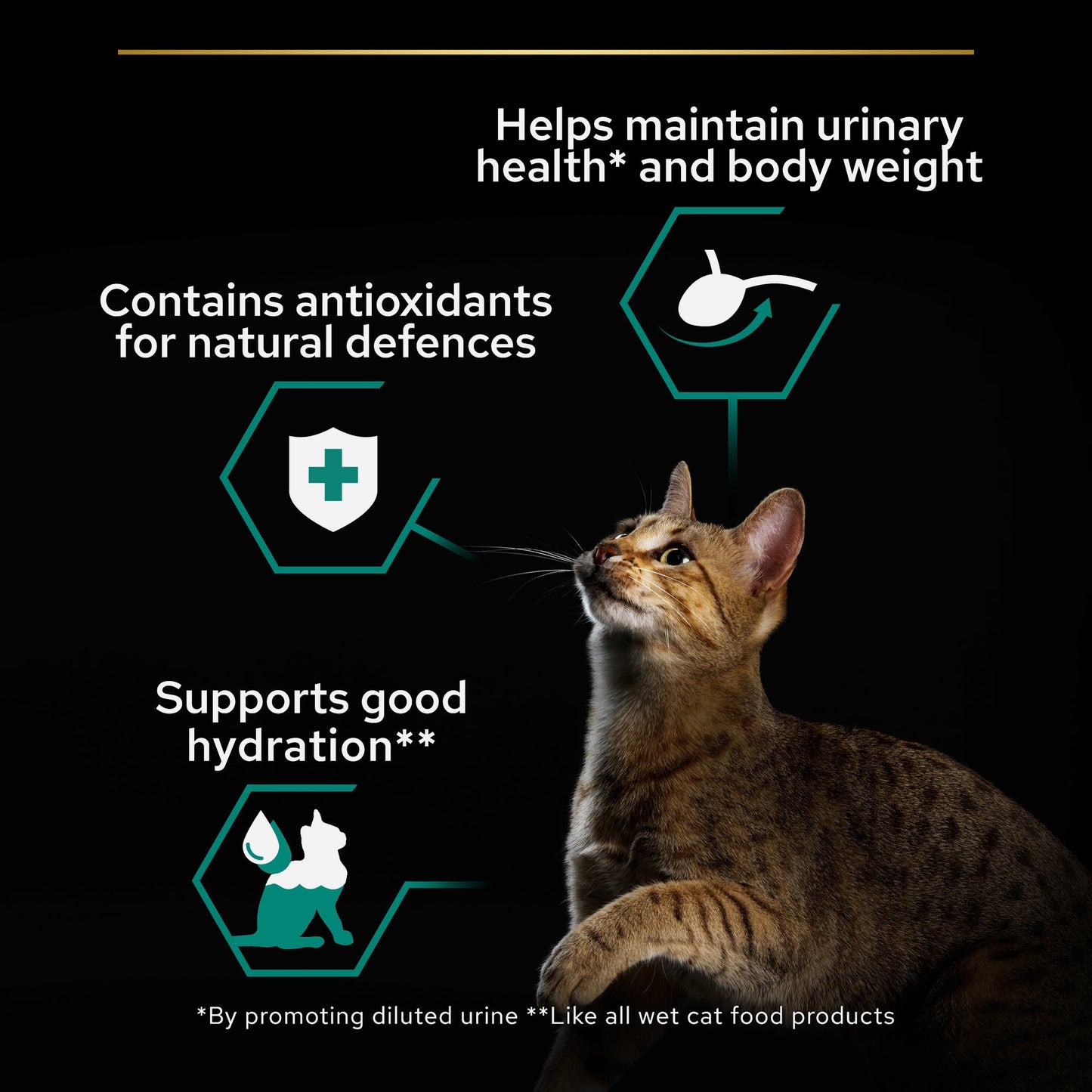 Purina Pro Plan Adult Wet Cat Food, Chicken in Gravy, 85g (26 pouches)
