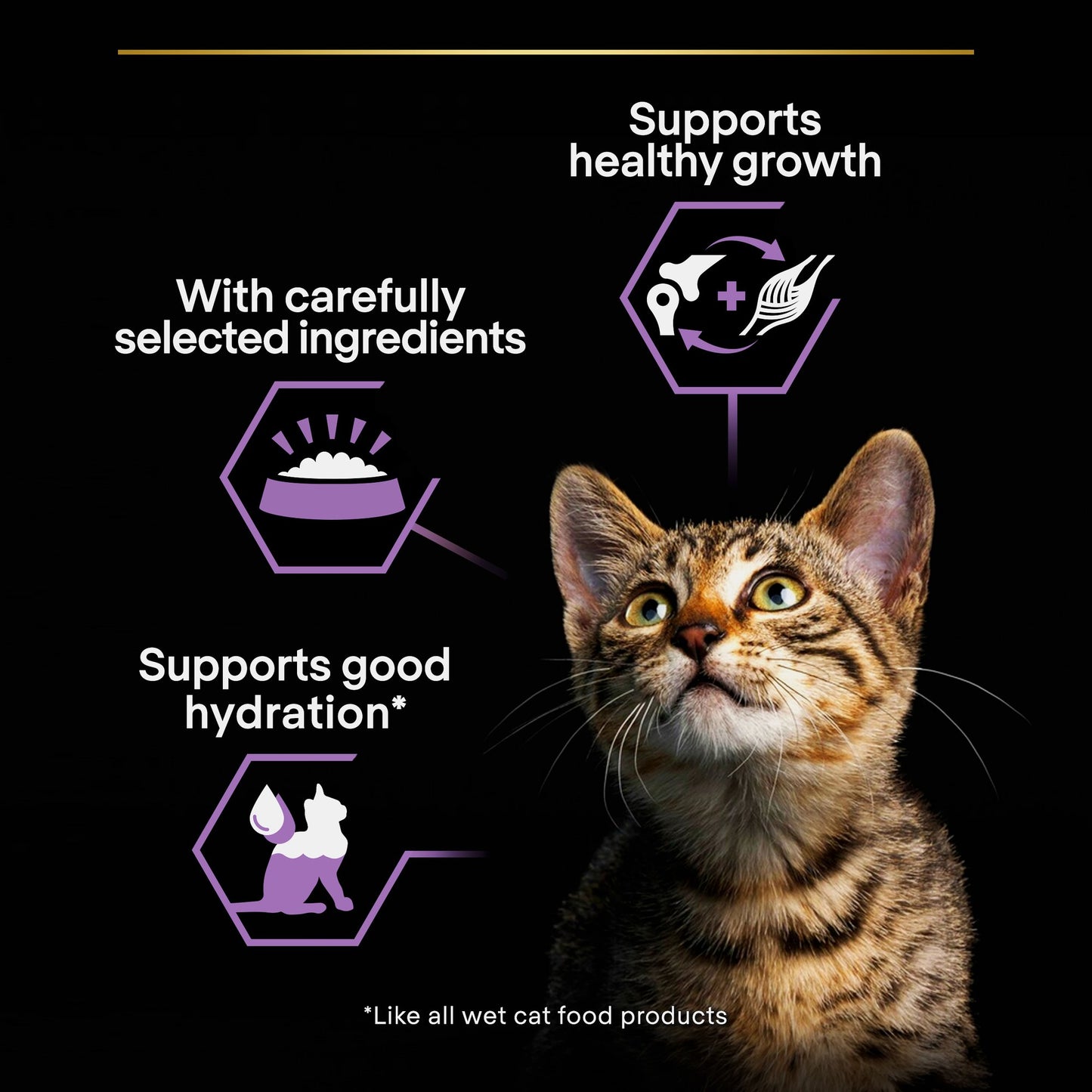Purina Pro Plan Baby Kitten Mousse with Chicken, 85g (24 cans)