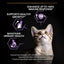 Purina Pro Plan Kitten  Dry Cat Food with Chicken