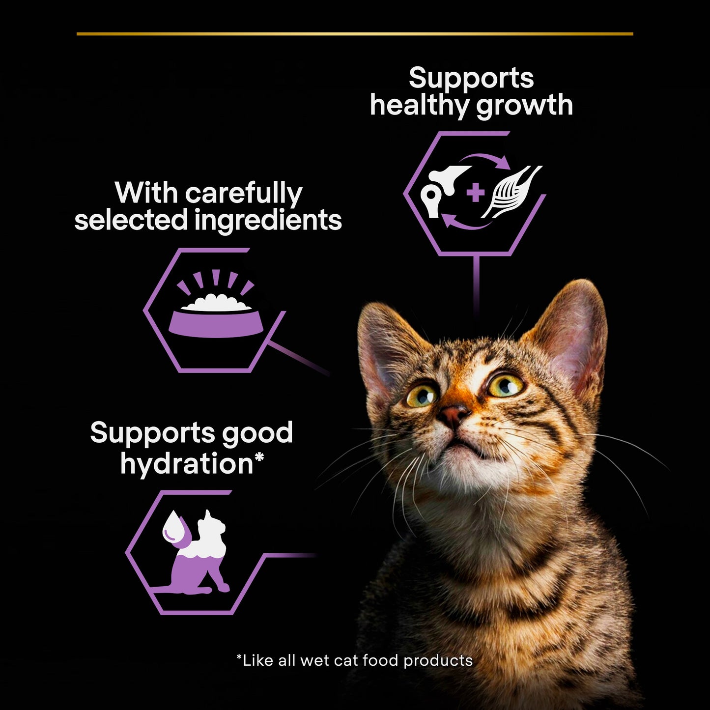 Purina Pro Plan Kitten , Wet Cat Food, Mousse rich in Chicken