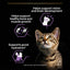Purina Pro Plan Kitten, Wet Cat Food, Turkey in Gravy, Multipack