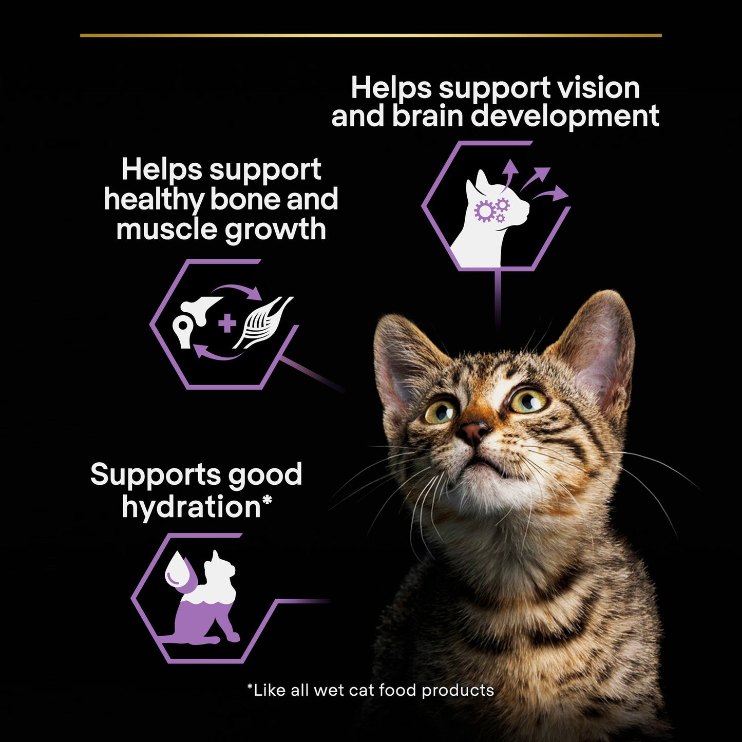 Purina Pro Plan Kitten, Wet Cat Food, Turkey in Gravy, Multipack