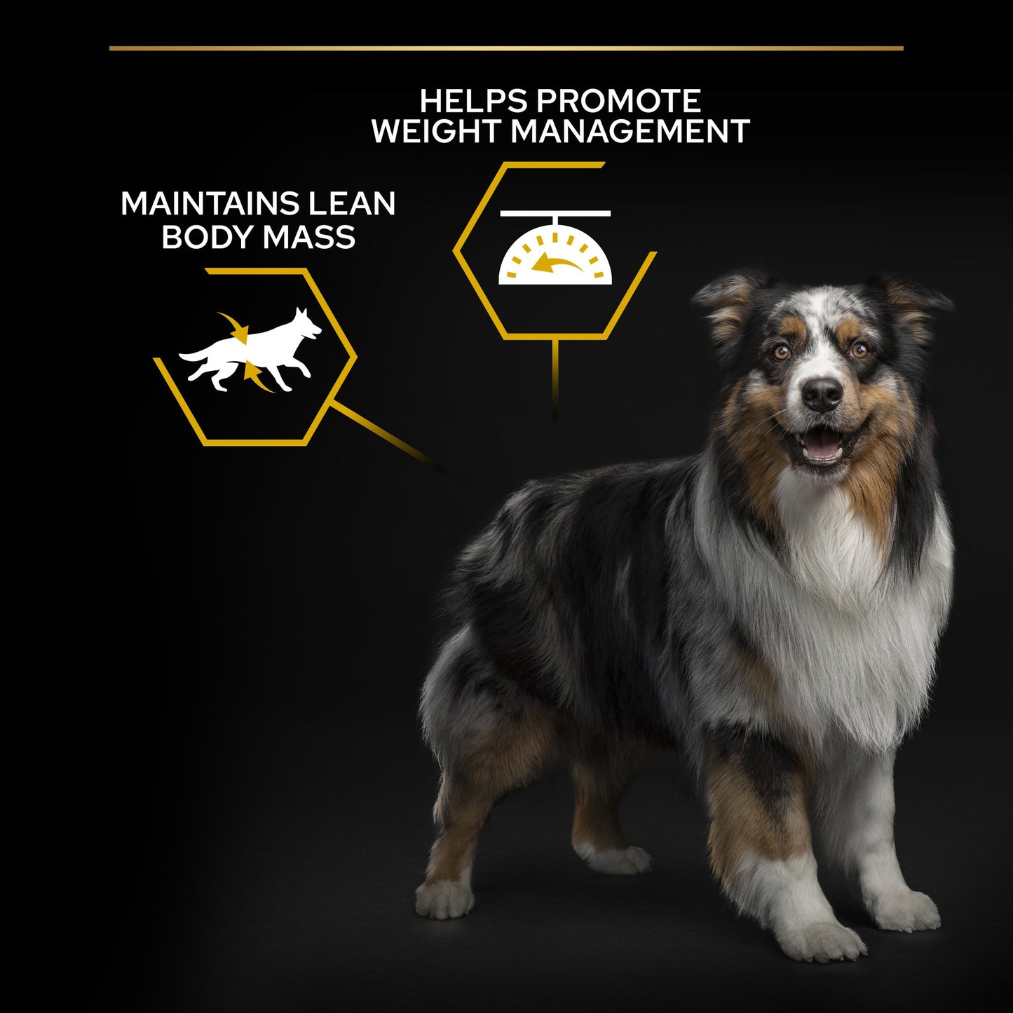 Purina Pro Plan Light All Sizes Adult, Dry Dog food with Chicken