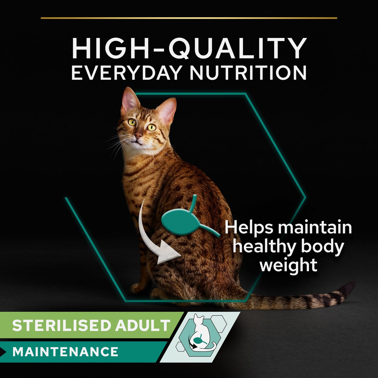 Purina Pro Plan Adult Wet Cat Food, Chicken in Gravy, 85g (26 pouches)
