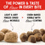 Stella & Chewy's Raw Blend Free Range - Goat, Lamb & Elk Recipe
