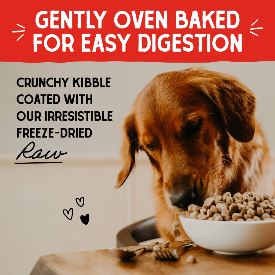 Stella & Chewy's Raw Coated Beef Recipe-1.6Kg