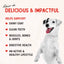 Stella & Chewy's Baked Kibble for Dogs Raw Coated Wholesome Grains Chicken Recipe - 3.5 lb