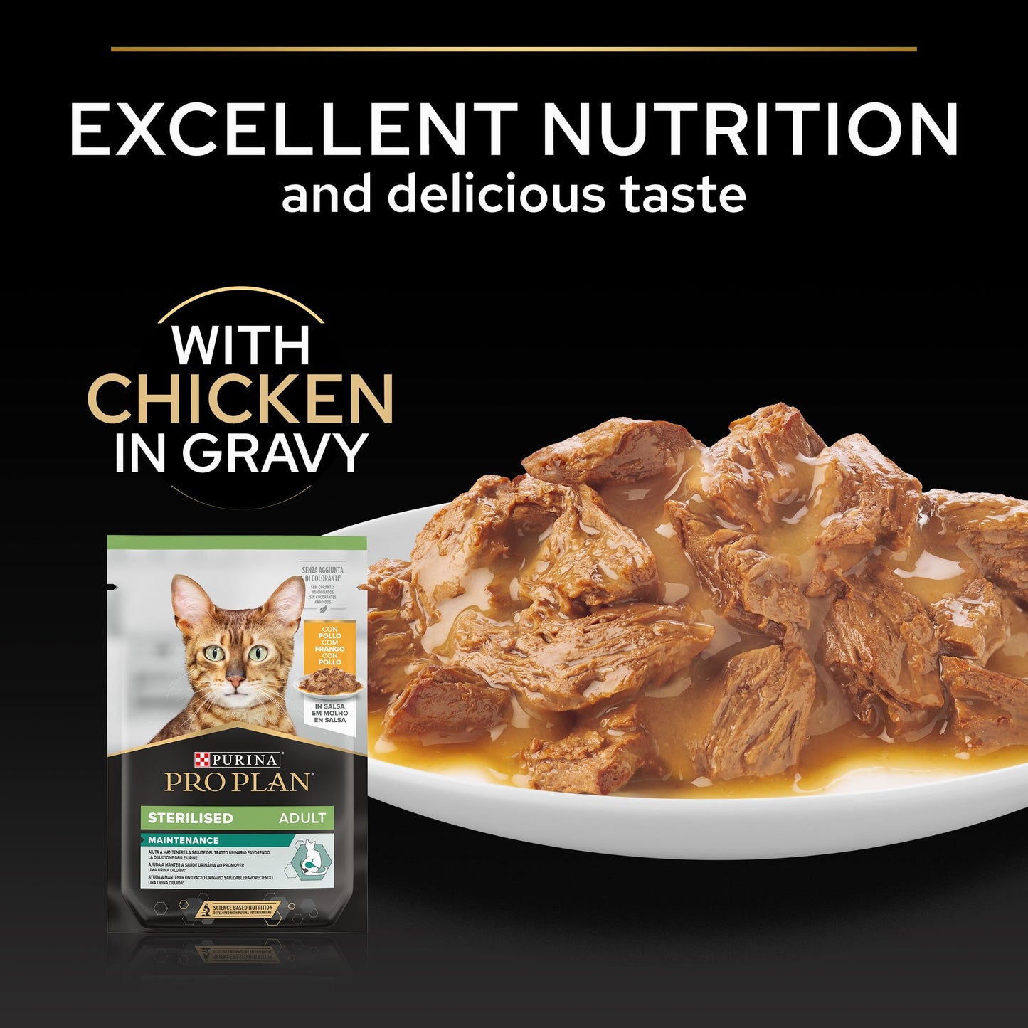 Purina Pro Plan Adult Wet Cat Food, Chicken in Gravy, 85g (26 pouches)