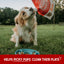 Stella & Chewy's Marie’s Magical Dinner Dust for Dogs Grass-Fed Beef Recipe - 7 Ounce Resealable Bag