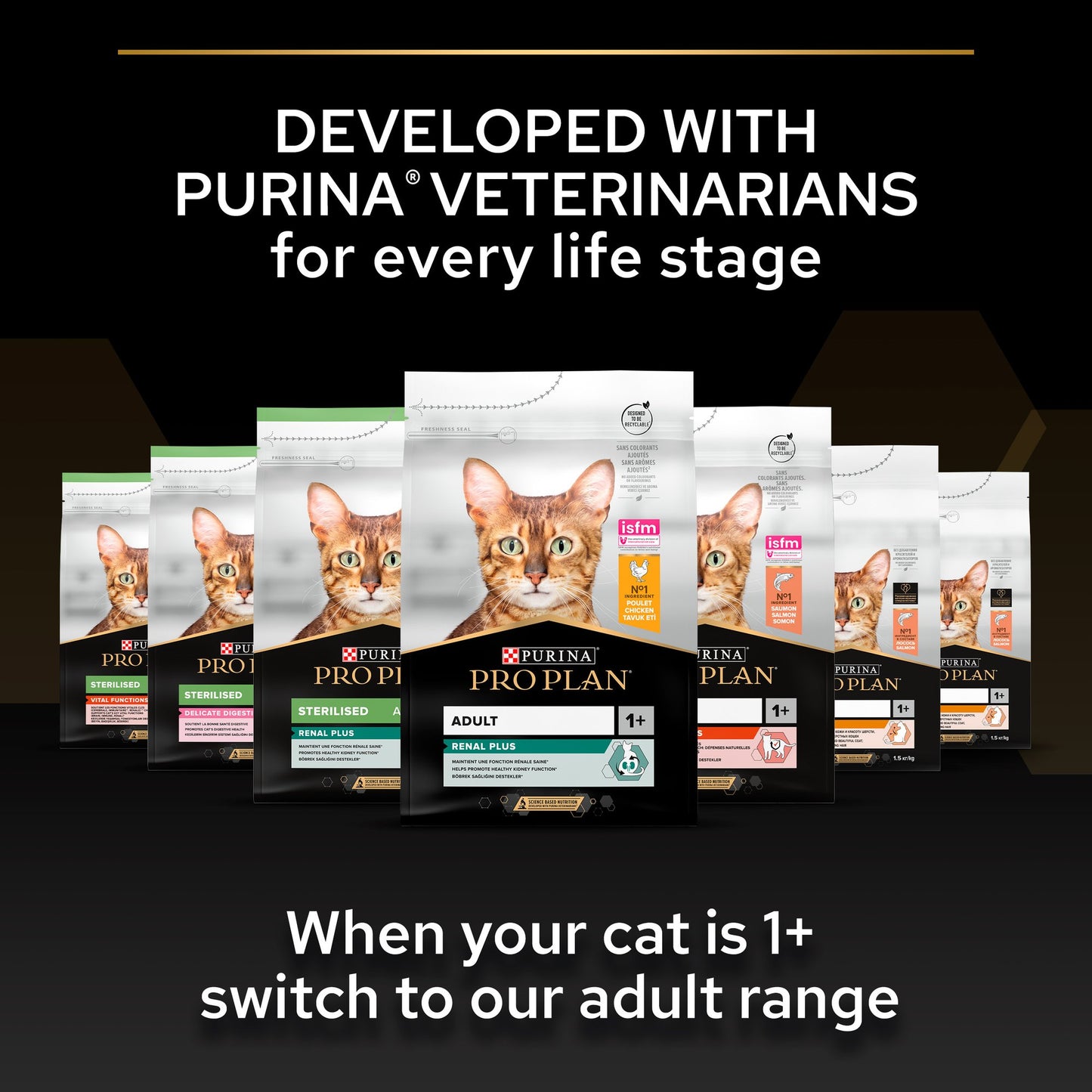 Purina Pro Plan Kitten  Dry Cat Food with Chicken