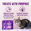 Stella & Chewy's Meowfulls Freeze Dried Cat Treats Whitefish & Salmon Recipe - 1.5 oz