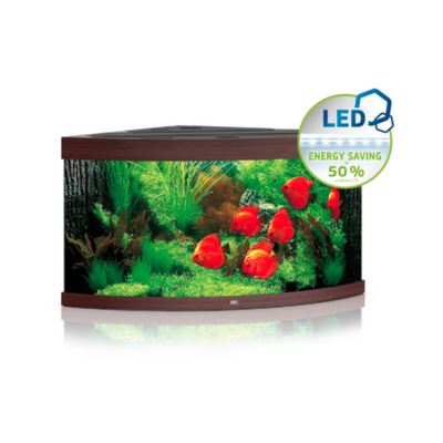 Juwel Trigon 350 LED Dark Wood