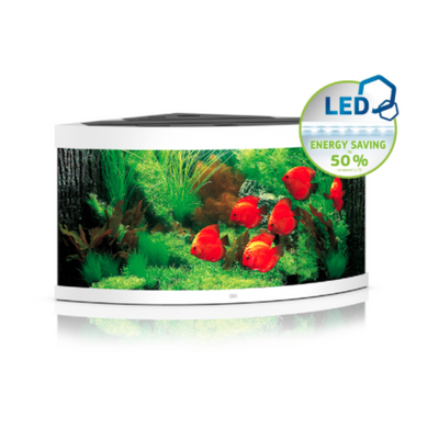 Juwel Trigon 350 LED White