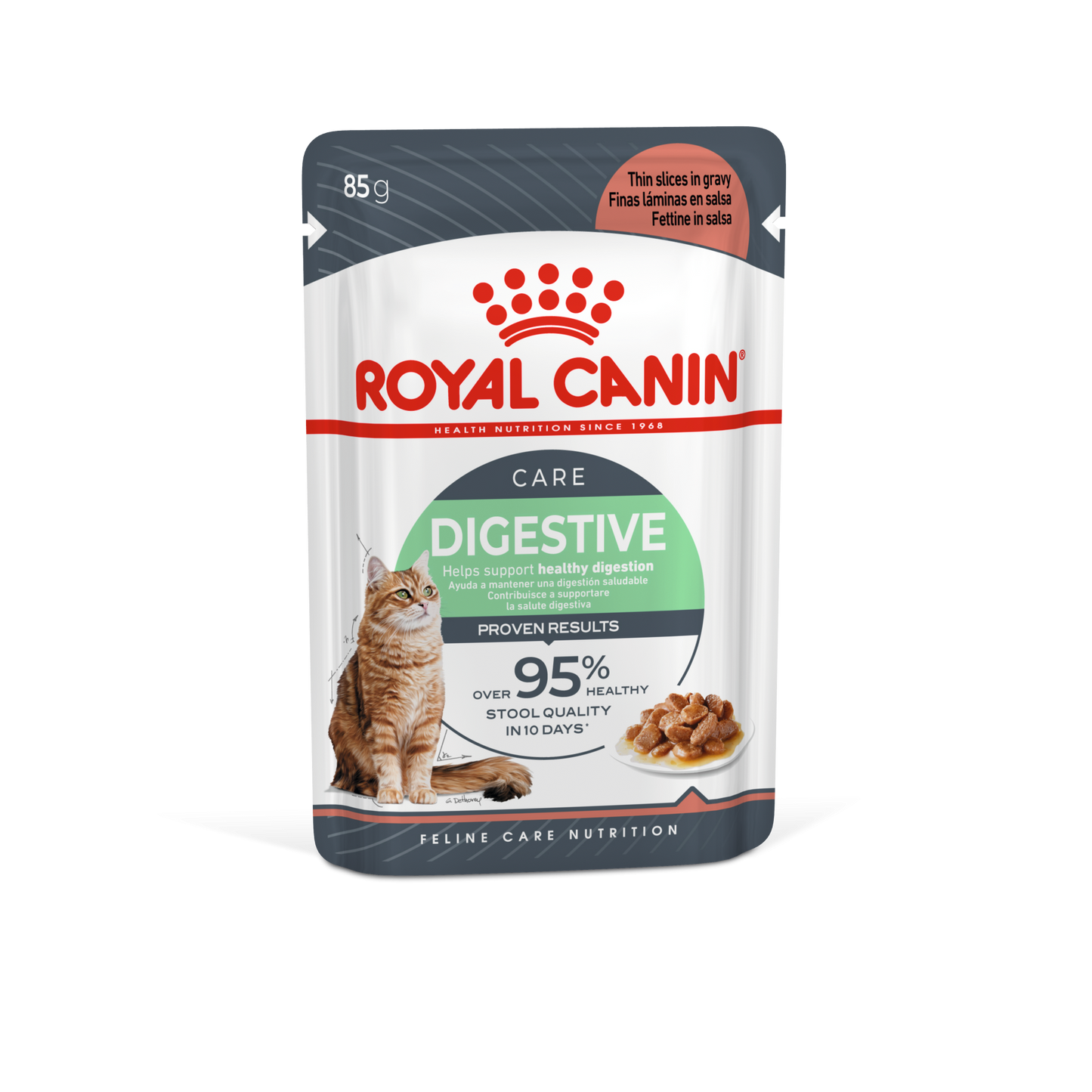 Royal Canin  Feline Care Nutrition Digest Sensitive Gravy (WET FOOD - Pouches)