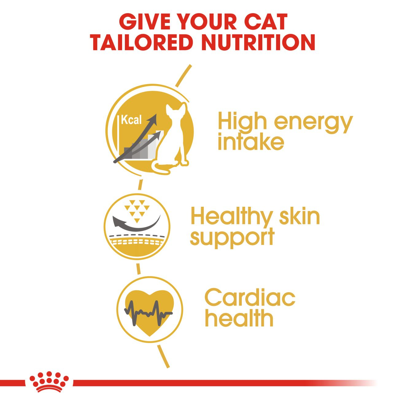 Royal Canin  Feline Breed Nutrition Sphynx 2 KG