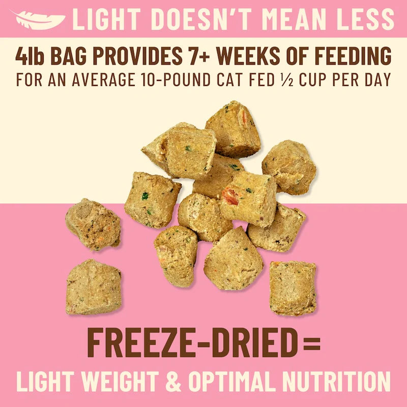 Primal Kibble in the Raw Cat Food – Beef Recipe