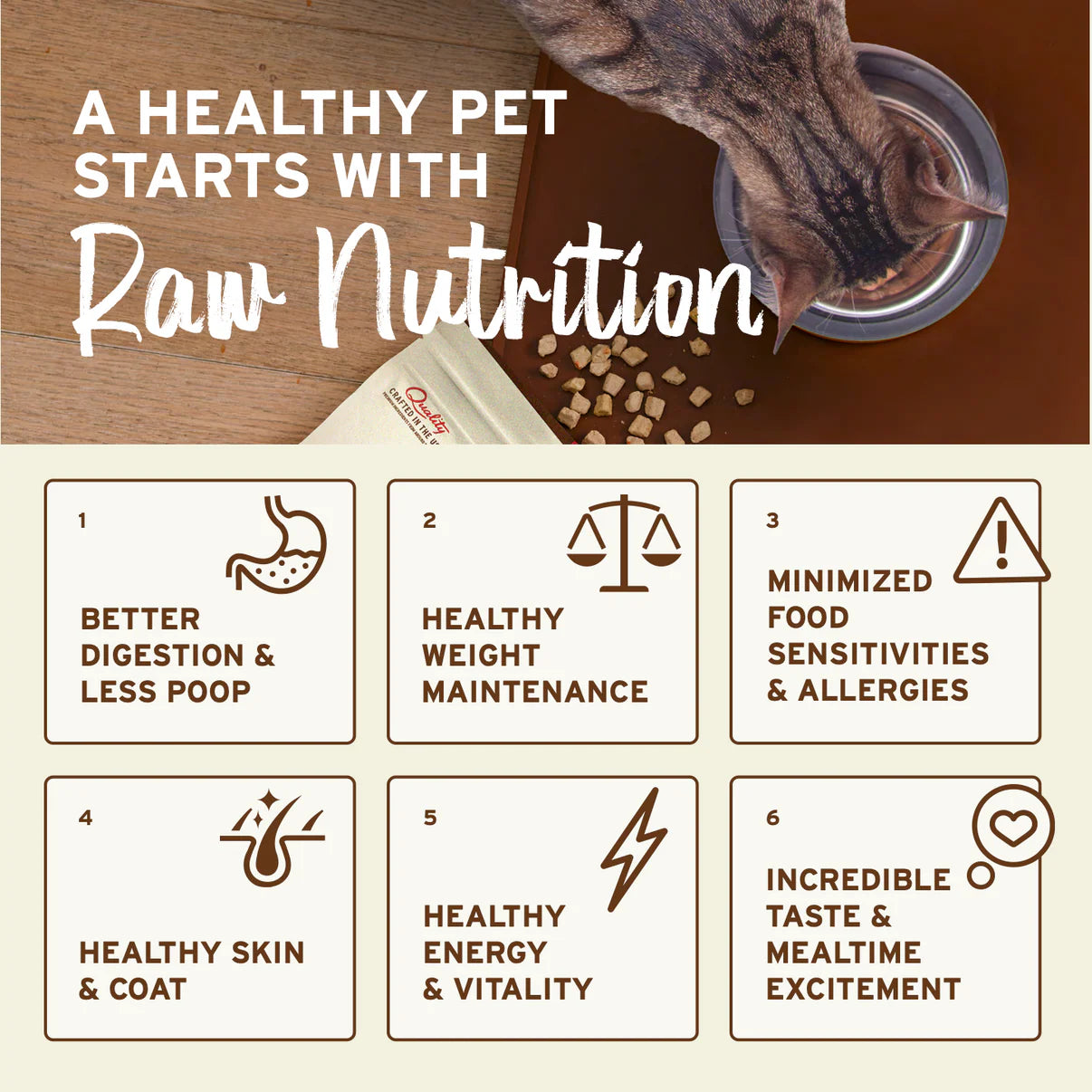 Primal Feline Venison Freeze-Dried Formula