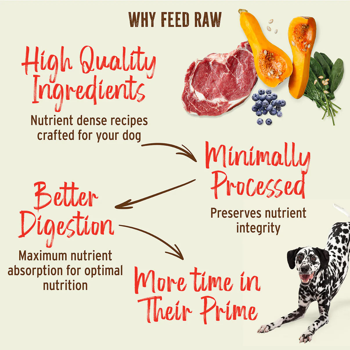 Primal Canine Chicken Kibble in the Raw