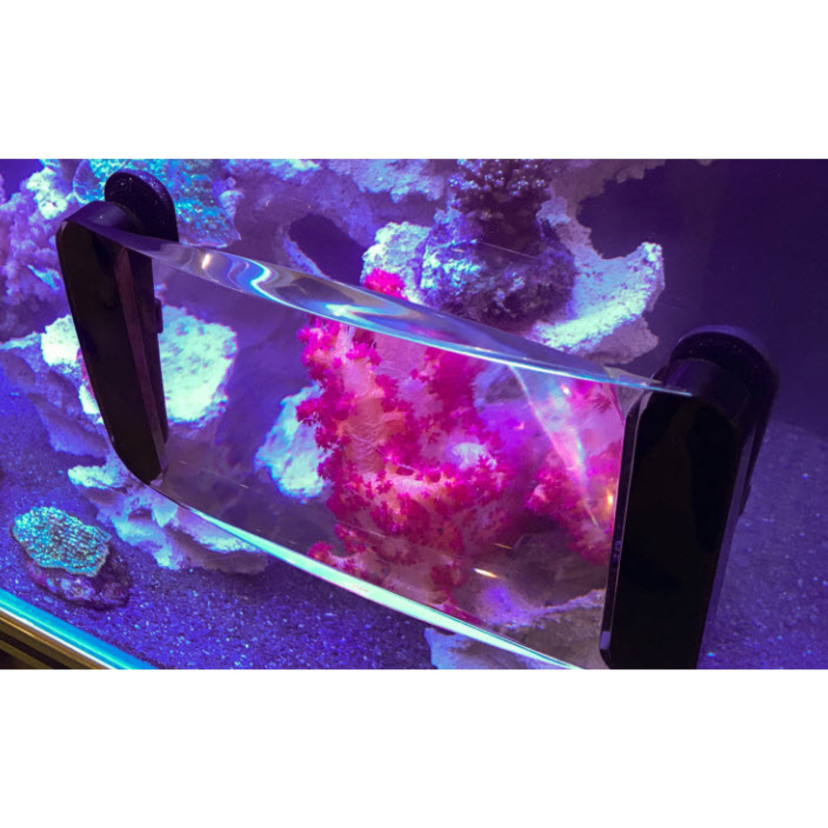 Maxspect Fragnifier FG100