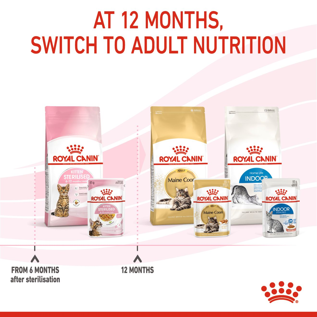 Royal Canin  Feline Health Nutrition Kitten Sterilised Gravy (WET FOOD - Pouches) 12x85G