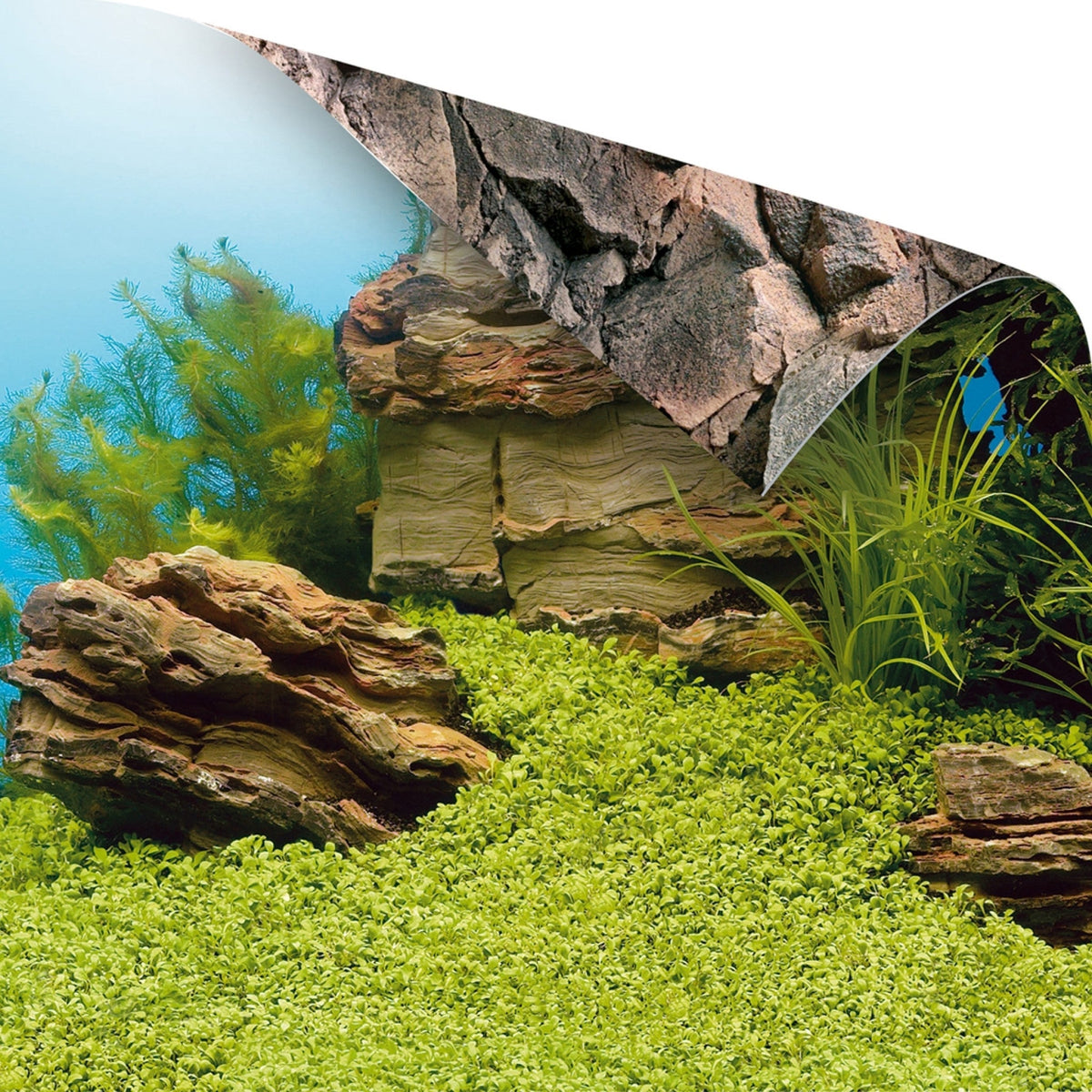 Juwel Poster 1 XLarge, 150 x 60 cm
