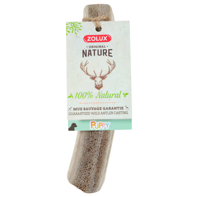 Zolux Natural Deer Antler for Puppy