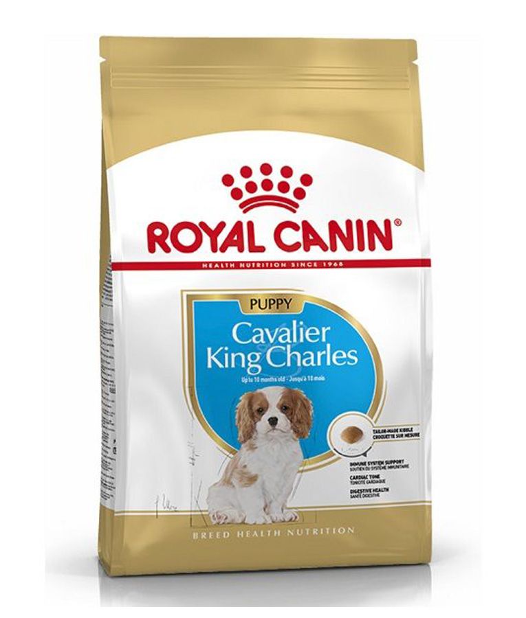 Royal Canin Breed Health Nutrition Cavalier King Charles Puppy Dry Food 1.5 KG