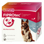 Beaphar Fiprotec for Medium Dog - 4 Pipettes