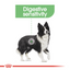 Royal Canin Canine Care Nutrition Medium Digestive Care 12 KG