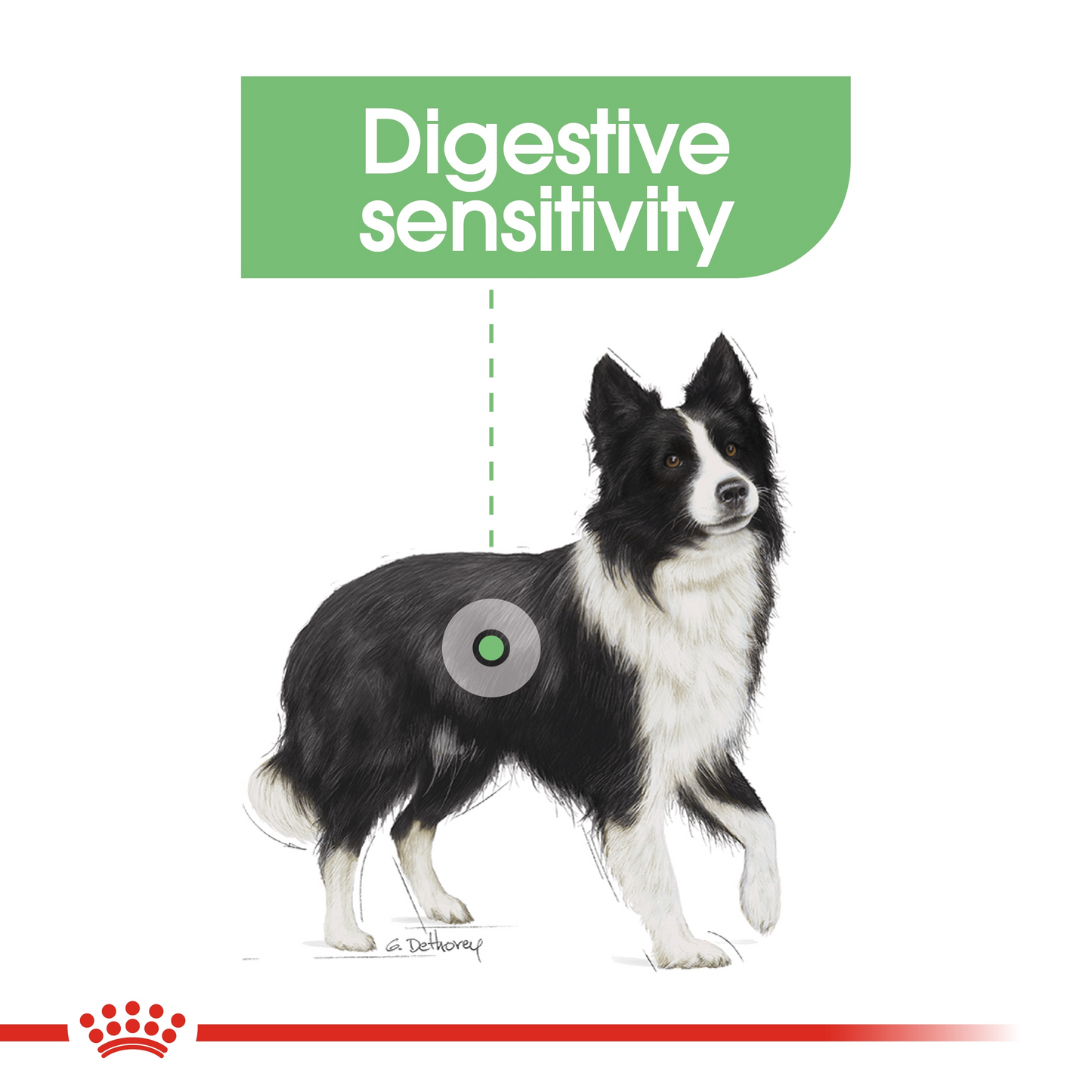 Royal Canin Canine Care Nutrition Medium Digestive Care 12 KG