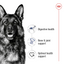Royal Canin Size Health Nutrition Maxi Adult