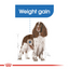 Royal Canin Canine Care Nutrition Medium Light Weight Care