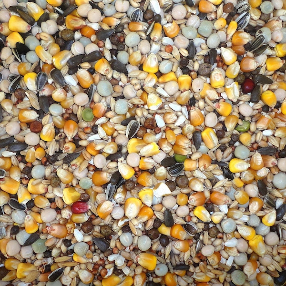 Farma 4-Season 20 kg