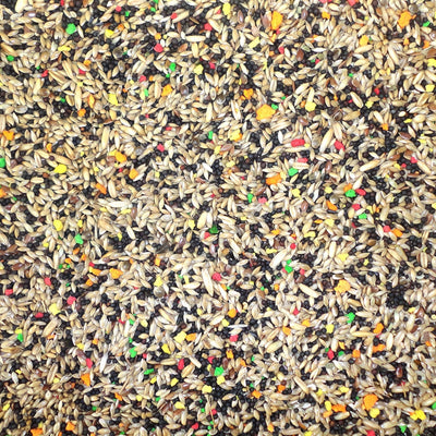Farma Canary Budget Mix 20 kg