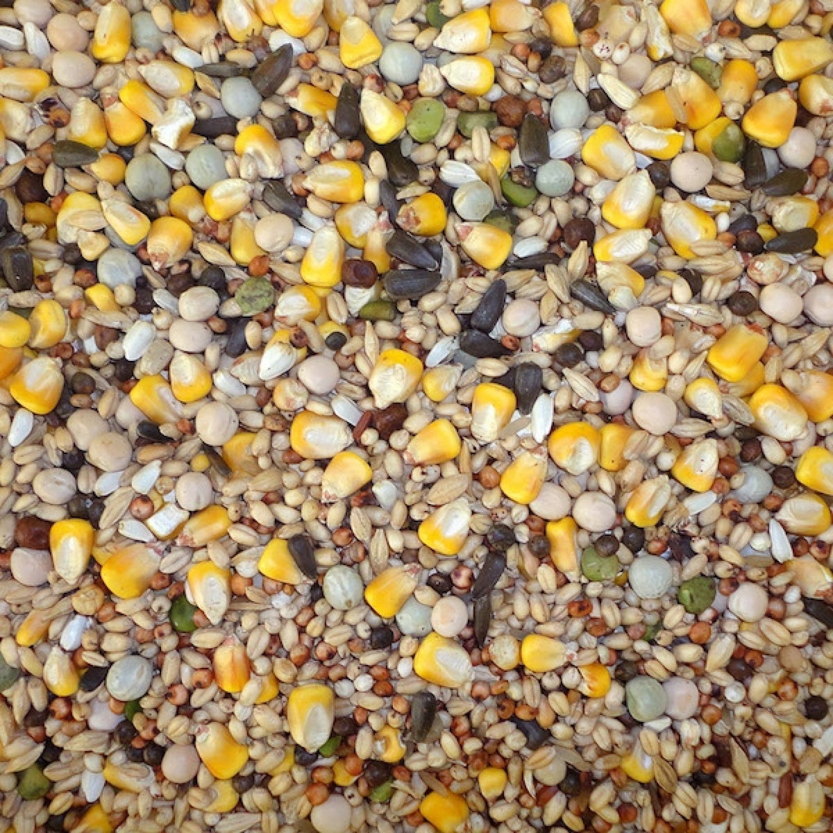 Farma Daily 20 kg