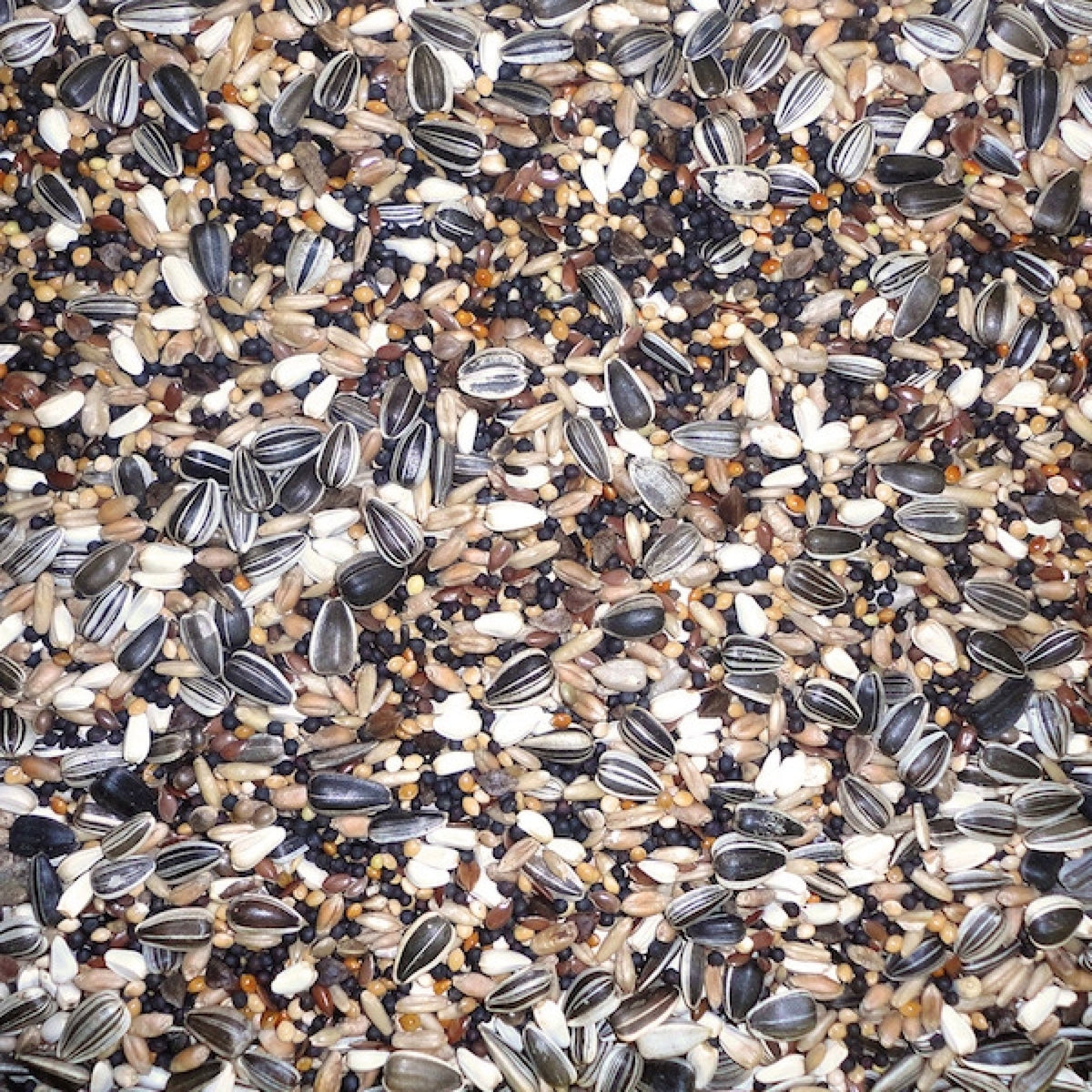 Farma Finch Mix 20 kg