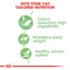 Royal Canin  Feline Care Nutrition Digest Sensitive Gravy (WET FOOD - Pouches)