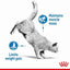 Royal Canin Feline Care Nutrition Light Weight Care (WET FOOD - Pouches)