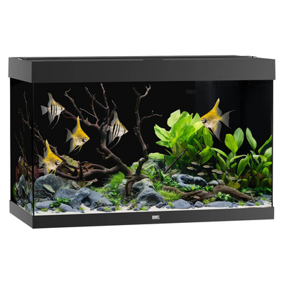 Juwel Rio 290 LED Black