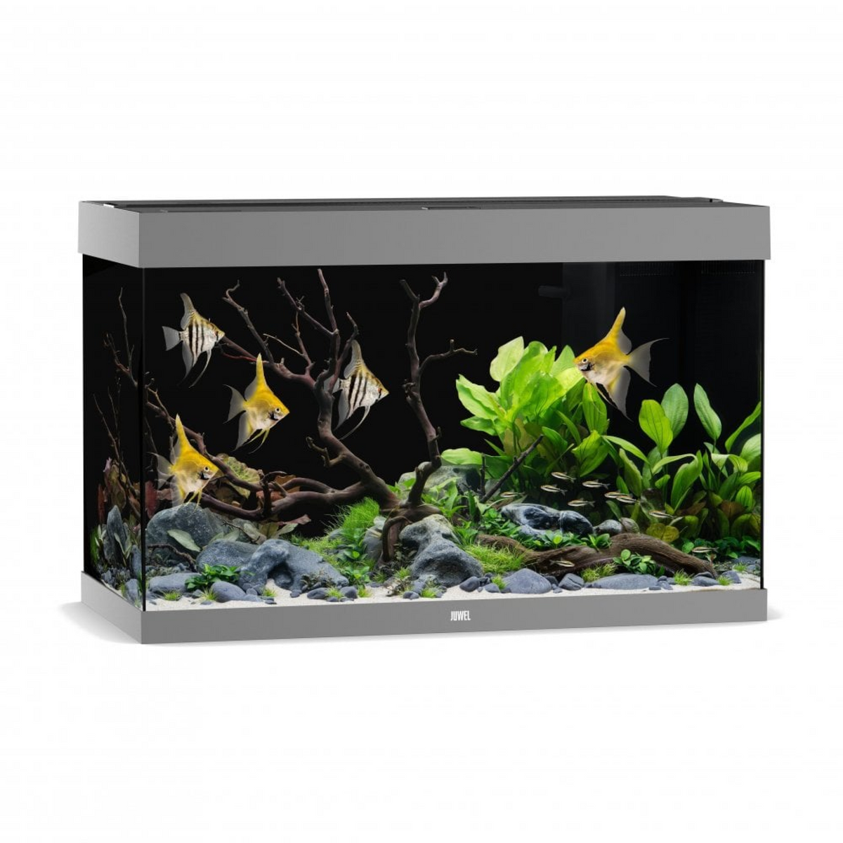 Juwel Rio 290 LED Grey