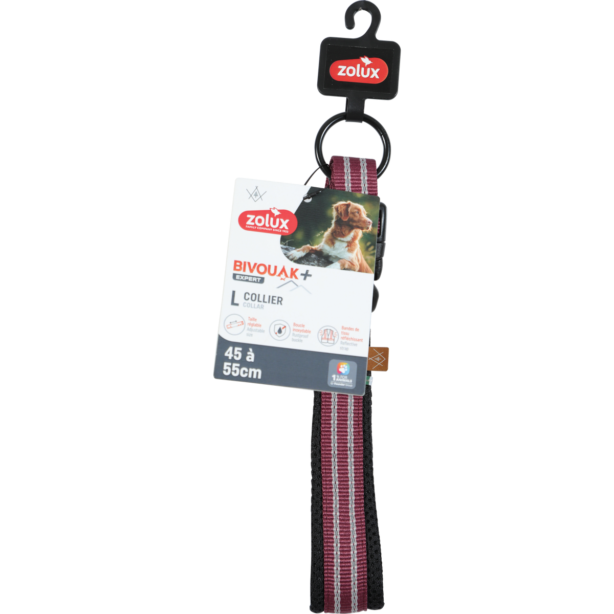 Zolux BVK Collar Red, 20 mm, 45-55 cm
