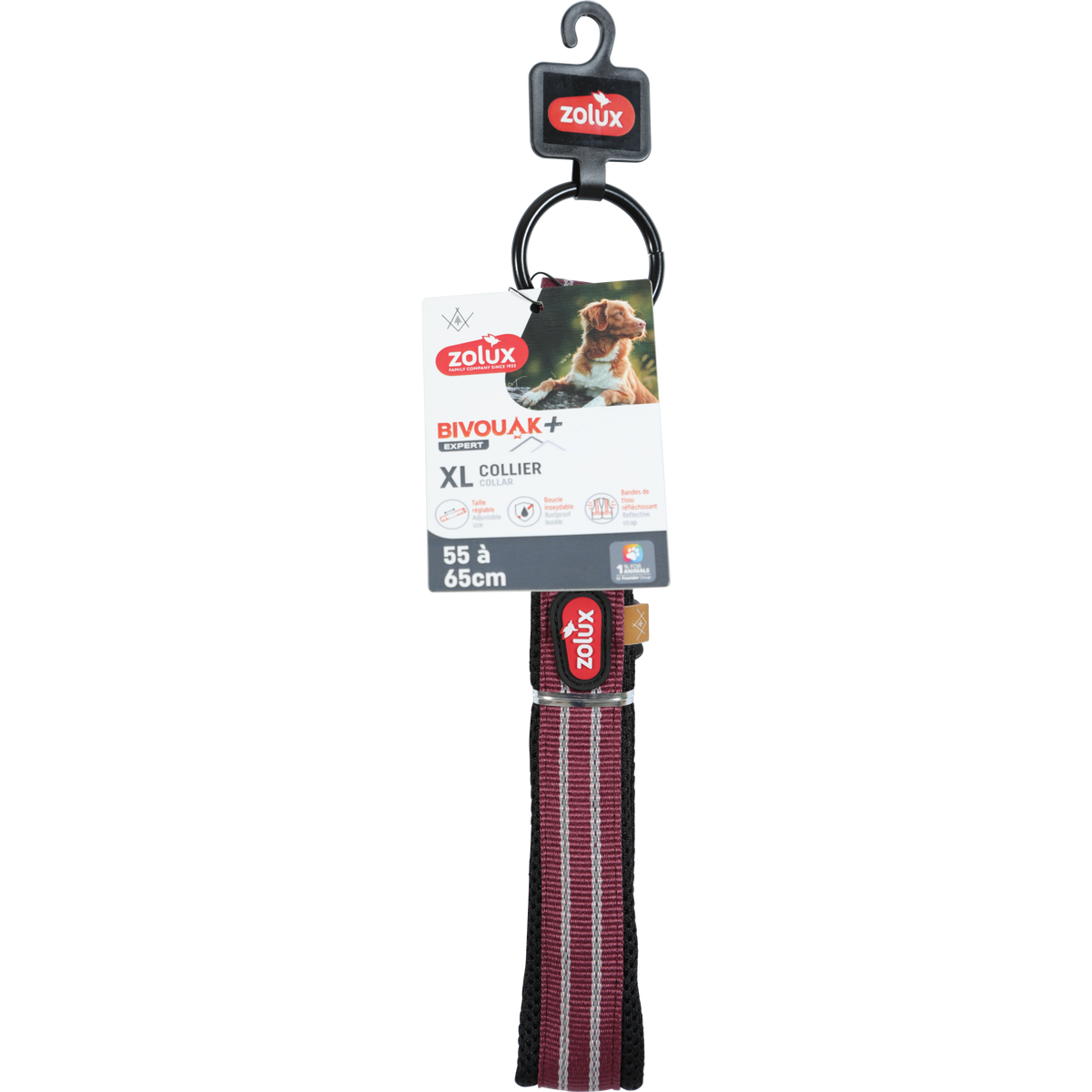 Zolux BVK Collar Red, 20 mm, 55-65 cm