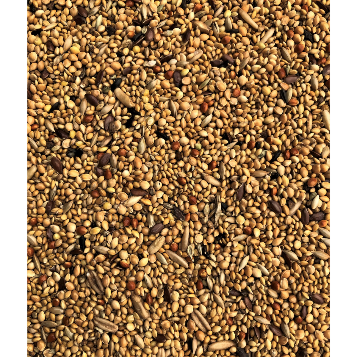 Farma Exotic Mix 20 kg