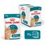Feline Health Nutrition Ageing 11+ Jelly (Wet Food - Pouches)