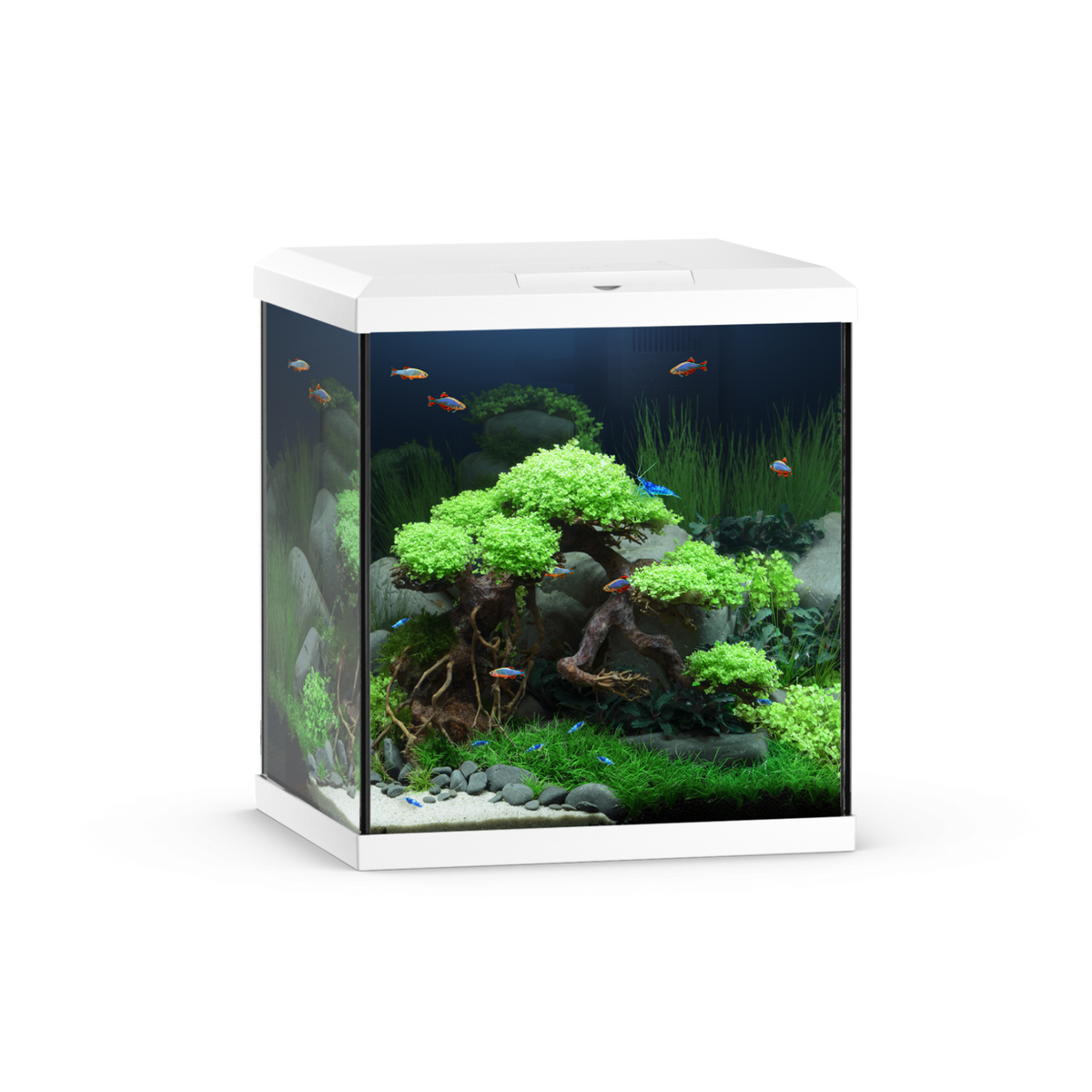 Juwel Vio Cube 54 White
