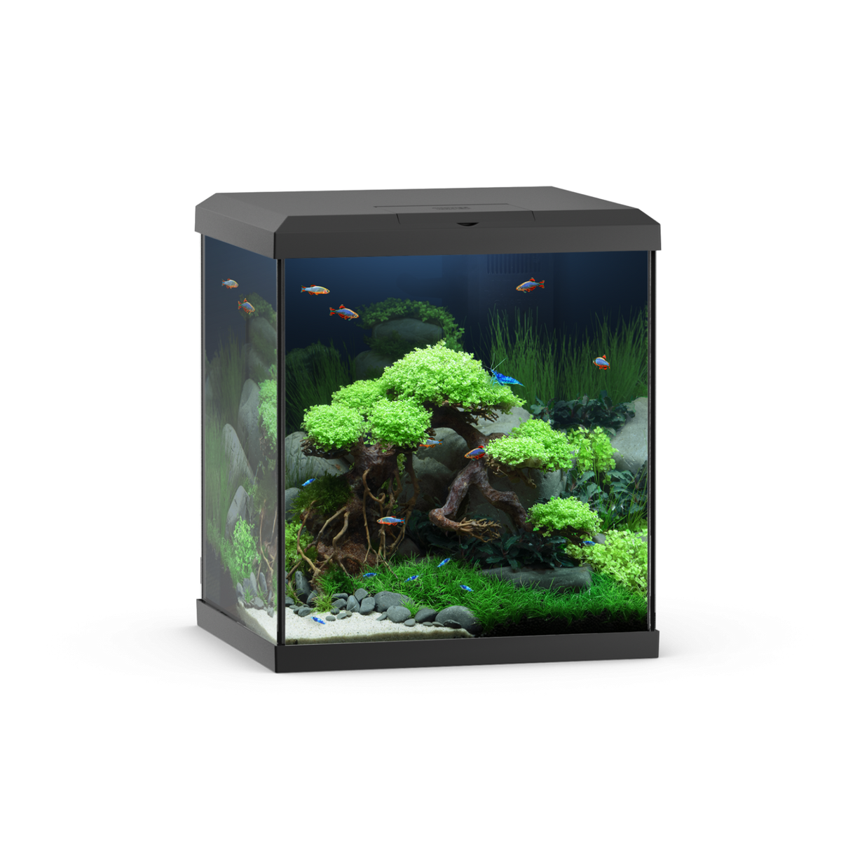 Juwel Vio Cube 54 Black