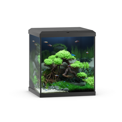 Juwel Vio Cube 54 Black