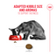 Royal Canin Feline Health Nutrition Fussy Cat Dry Food