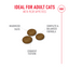 Royal Canin Feline Health Nutrition Fussy Cat Dry Food