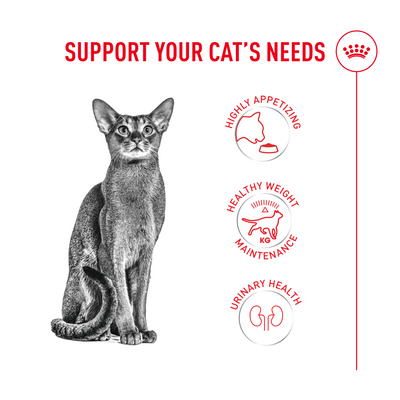 Royal Canin Feline Health Nutrition Fussy Cat Dry Food